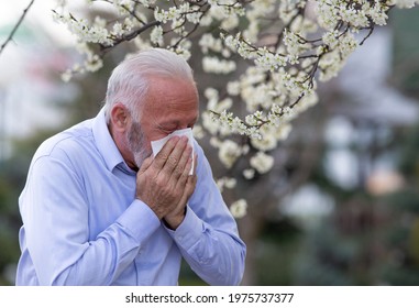 Old Man With Allergy Symptoms Sneezing Into Tissue. Senior Suffering From Hay Fever Coughing Outside.