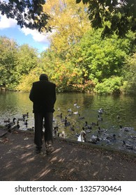 An Old Man Is Chilling At The Park And Feeding Ducks With Breads.