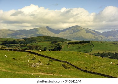 The Old Man Of Coniston From Hoad Hill