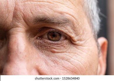 Old Man Face With Wrinkles, Grey Haired Pensioner Ageing Skin Close Up
