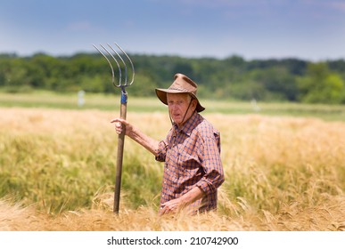 Athletic Woman On Walk Stock Photo (Edit Now) 1714897630