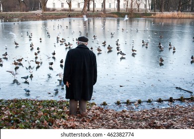 Old Man Feeding Ducks On A Lake In Winter Or Autumn