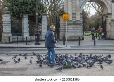 Old man feeding a flock of pigeons on the street at the gate of St Stephen’s Green Park, Pigeons eating from hand, sitting on the man, 01082022, Dublin, Ireland      