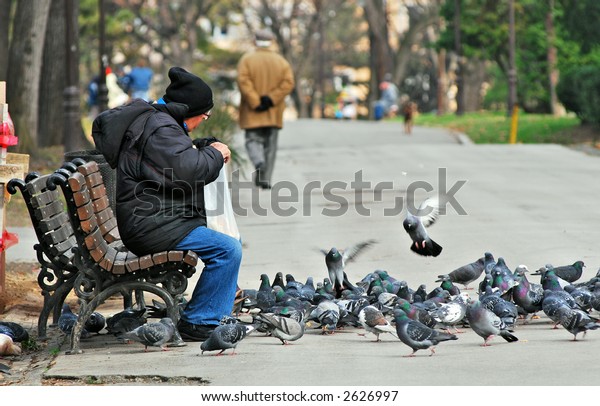 Old Man Feeding Pigeon Park Stock Photo (Edit Now) 2626997