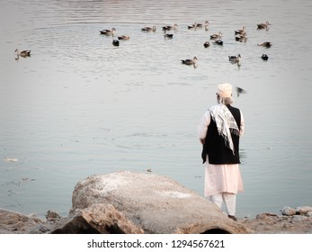 An Old Man Feeding The Wild Ducks And Fishes In A Pond Near Jaipur.