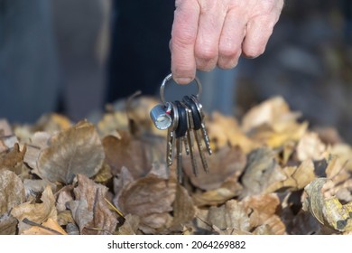 An Old Man Found A Bunch Of Keys In A Letter In The Park