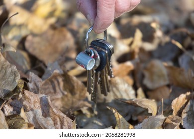 An Old Man Found A Bunch Of Keys In A Letter In The Park