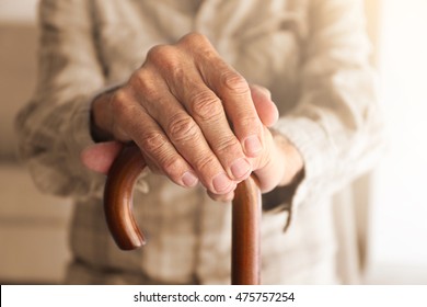 Old Man Hands On Walking Stick