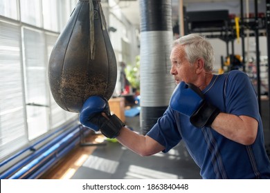 Old Man Hitting A Punching Bag. Senior Man In Blue Gloves Practicing Boxing On The Punching Bag.