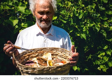 Old Man Holding A Knife And Basket With Freshly Picked Mushrooms, On Green Grapevine Background