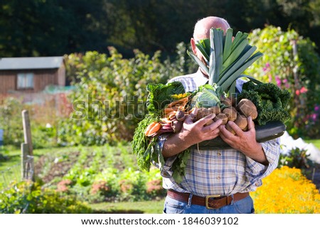 Similar – Image, Stock Photo Man covering himself with summer hat at countryside.