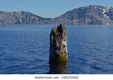 The Old Man Of The Lake Is A Hemlock Log That Has Been Floating Upright In Crater Lake For 100 Plus Years.  One Never Knows Where It Will Be In The Lake Since It Drifts From Place To Place.