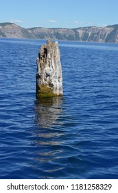 The Old Man Of The Lake Is A Hemlock Log Has Been Randomly Floating Upright Around Crater Lake For More Than 100 Years!  