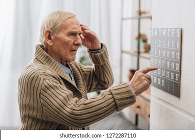 Old Man Looking At Calendar And Touching Head