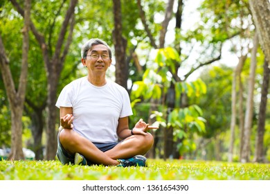 Old man Meditation in nature park