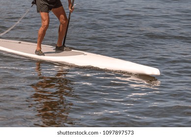 Old Man On A Stand Up Paddle Board On The Hillsborough River In Tampa Florida