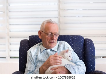 Old man in pajamas sitting in armchair at home and cuddling white sweet cat. Alternative therapy concept - Powered by Shutterstock