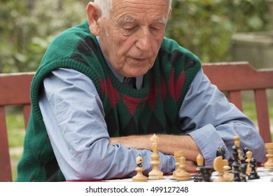 Old Man  Playing Chess In The Garden