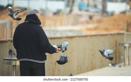 Old Man Reaching Out His Hand And Feeding Flying Pigeons.