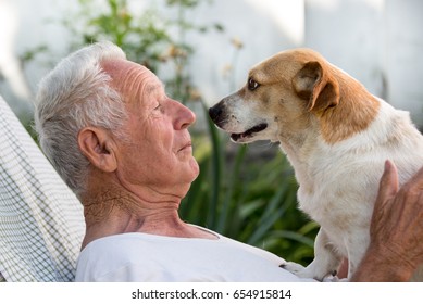 Old Man Resting In Garden And Cute Dog Climb On His Chest And Kissing Him. Pet Love Concept