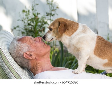 Old Man Resting In Garden And Cute Dog Climb On His Chest And Kissing Him. Pet Love Concept