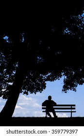 Old Man Sitting Alone On Park Bench Under Tree