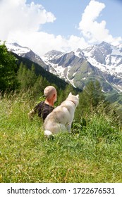 An Old Man And Sled Dog Walk. Alpine Landscape. Active Leisure Pensioner. An Elderly Man Is Smiling. Walk With Siberian Husky. Großglockner