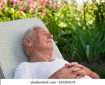 Old Man Sleeping In Easy Chair In Garden With Pink Flowers In Background