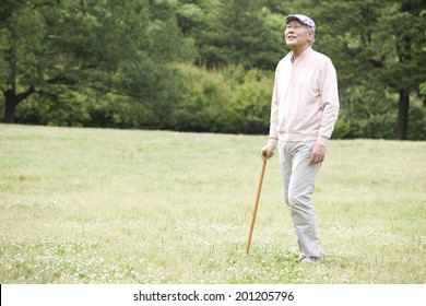 The Old Man Walking In The Park With A Cane