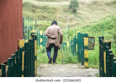 An Old Man Walking Towards His Hut . This Photo Was Clicked At A Hamlet Called Chatakpur, Near Darjeeling, West Bengal 