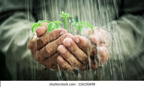 Image result for grouchy old man in the rain