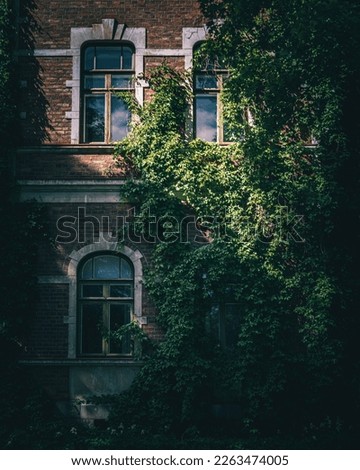 An old mansion built of red bricks. Ivy growing up walls. Old window frames with white brick edges. A large dwelling house. Old, partly overgrown wall. Brick wall, detailed pattern covered in ivy.
