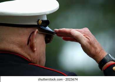 An Old Marine Saluting