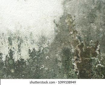 Old Masonry Wall Background/ Plaster Facing Disintegration/Full Of Water Stain.