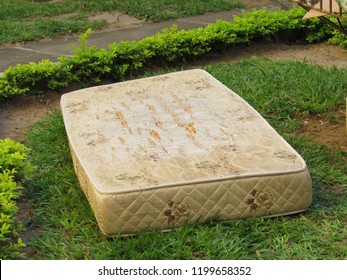 Old Mattress On The Grass