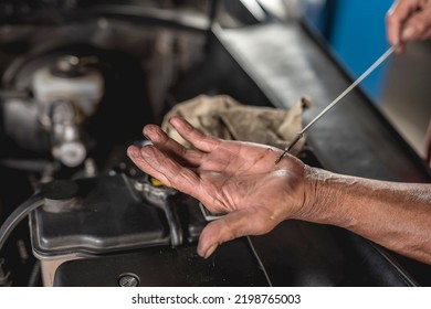 An Old Mechanic Checks The Transmission Fluid Of An Old Sedan With A Dipstick.