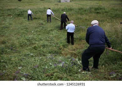 old men working in the garden.artvin/turkey - Powered by Shutterstock