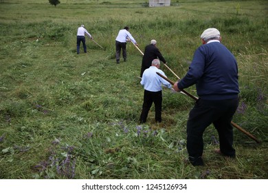 old men working in the garden.artvin/turkey - Powered by Shutterstock