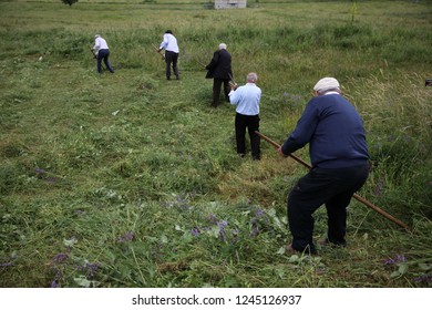 Old Men Working In The Garden.artvin/turkey