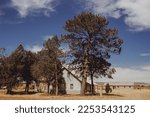 Old mennonite house in Chihuahua Mexico