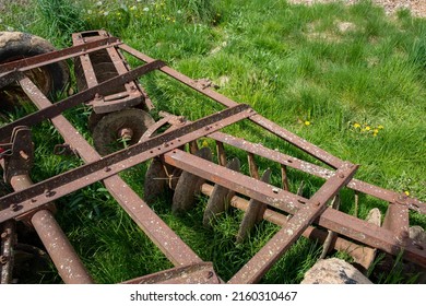 Old Metal Harrow In A Green Grass Field With Dandelions In The Bright Sunshine. Rows Of Muddy Discs Are Visible On Vintage Traditional Equipment. Copy Pace And No People.