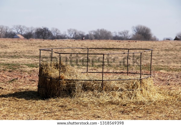 Old Metal Round Bale Hay Feeder Stock Photo Edit Now 1318569398