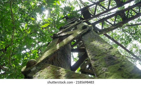 Old Metal Structure And Plants