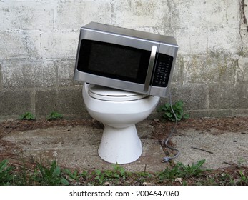 Old Microwave On Top Of A Discarded Toilet. 