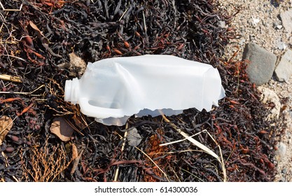 An Old Milk Jug That Is Breaking Down From Sunlight On A Seaweed Gravel Beach.