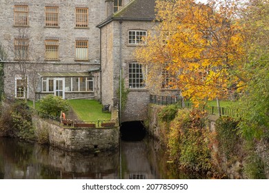 Old mill building in Celbridge with autumn colored tree in the foreground. Co. Kildare. Ireland. November 2021
