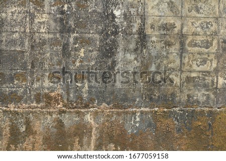 old moldy dirty brick wall behind the building