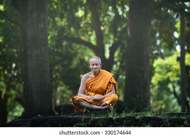 Old Monk Sitting Meditation Under The Big Tree