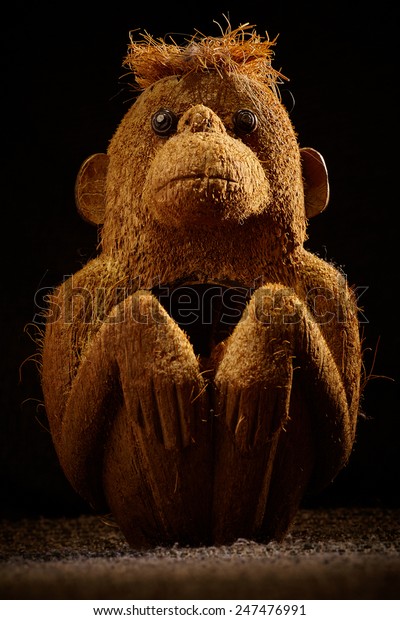 old monkey stuffed animal