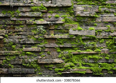 Old mossy brick wall texture - Powered by Shutterstock